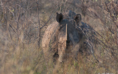 Waterberg